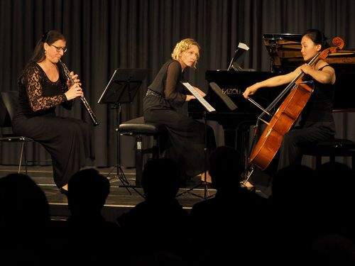 Trio Phönix im Konzert